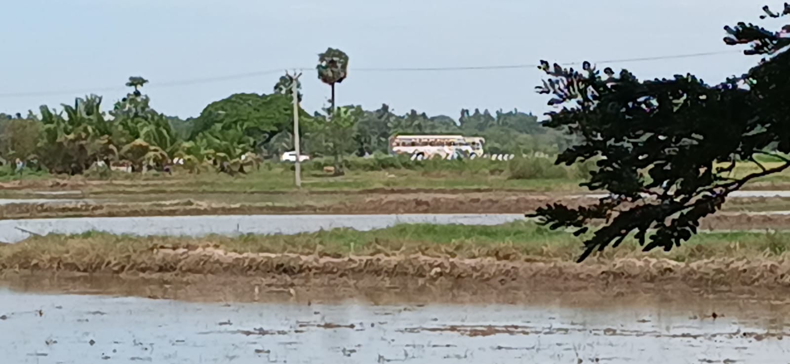 Agricultural Land for Sale
